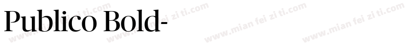 Publico Bold字体转换